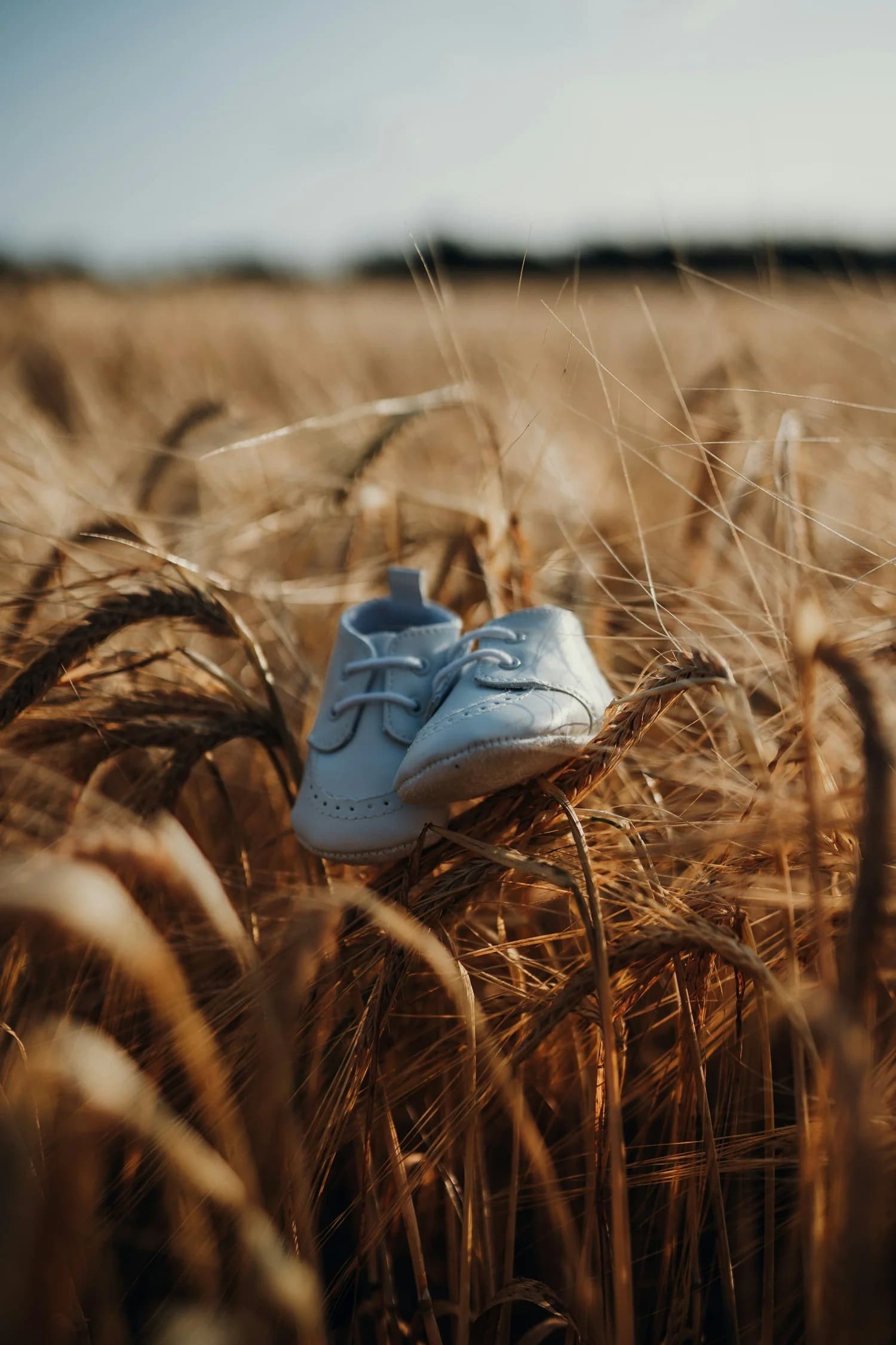 Baby shoes in a wheat field